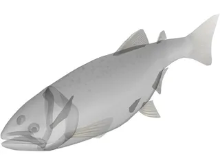 Happy Fish 3D Model