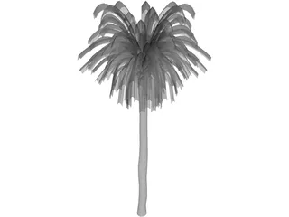 Palm Tree 3D Model