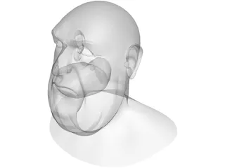 Opera Man Face 3D Model