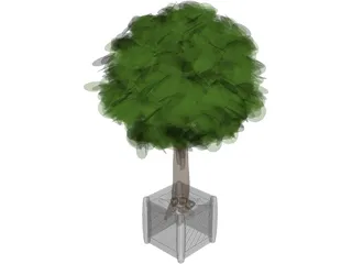 Tree 3D Model