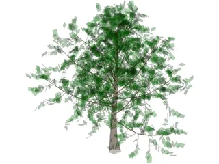 Baum Tree 3D Model