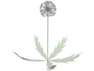 Dandelion 3D Model