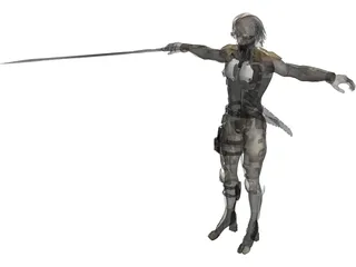 Raiden 3D Model