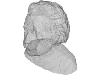 Albert Einstein 3D Model