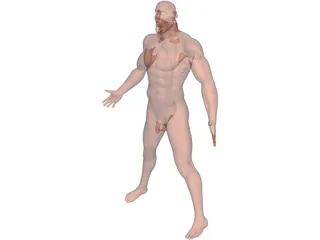 Man 3D Model