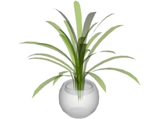 Plant in Pot 3D Model