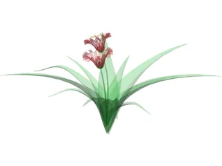 Flowers 3D Model