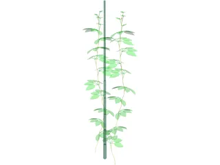 Plant 3D Model