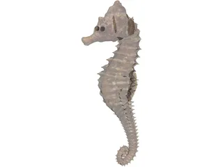 Seahorse  3D Model