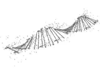 DNA Human 3D Model