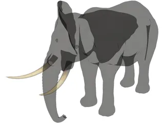 Elephant 3D Model