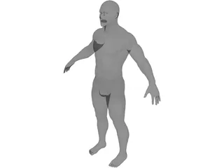 Male 3D Model