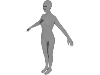 Female 3D Model