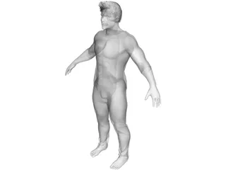 Male 3D Model