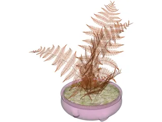 House Plant 3D Model