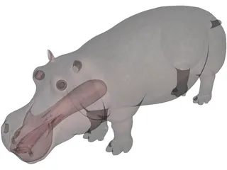 Hippopotamus 3D Model