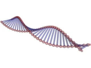 DNA Double Helix 3D Model