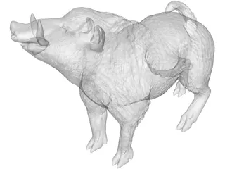 Wild Boar 3D Model