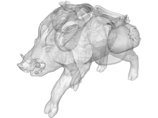 Boar 3D Model