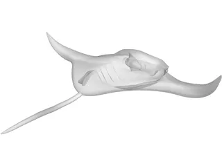 Manta Ray 3D Model