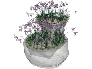 Flower Bed with Flowers 3D Model