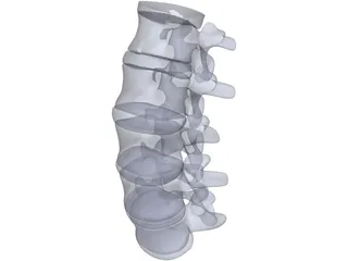 Lumbar Spine 3D Model