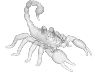 Scorpion 3D Model