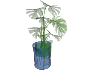 Monstera Deliciosa 3D Model