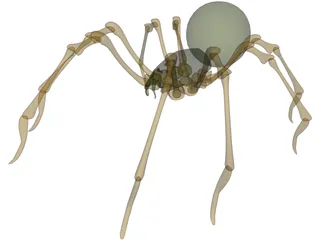 Spider 3D Model