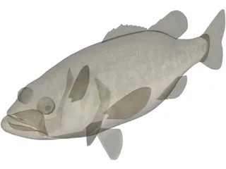 Florida Largemouth Bass 3D Model