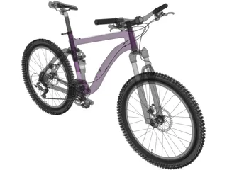 Bicycle Enduro 3D Model