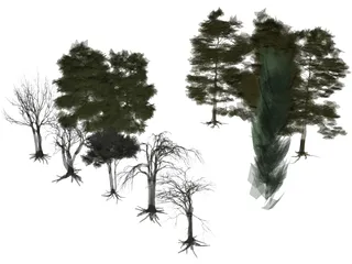 Tree Collection 3D Model