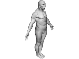 Male Human Figure 3D Model