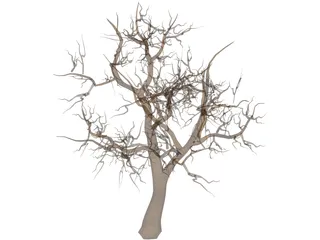 Tree 3D Model