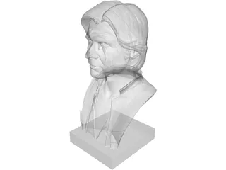 Han Solo Bust 3D Model