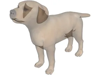 Dog 3D Model