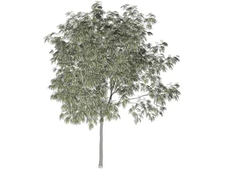 Arbol Tree 3D Model