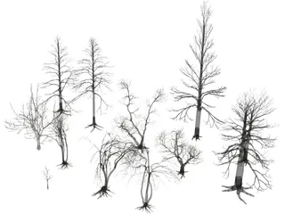 Dead Trees 3D Model