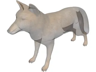 Tibetan Hill Fox 3D Model