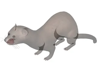 Ferret 3D Model