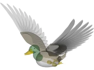 Duck Flying 3D Model
