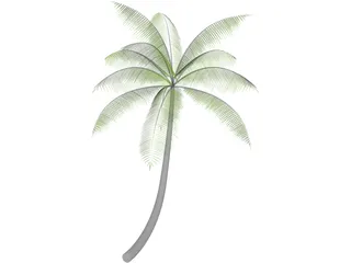 Palm 3D Model