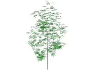 Tree 3D Model