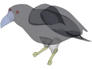 Raven 3D Model