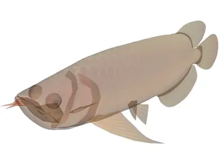 Asia Arowana 3D Model