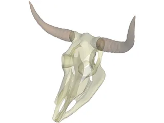 Cow Scull 3D Model
