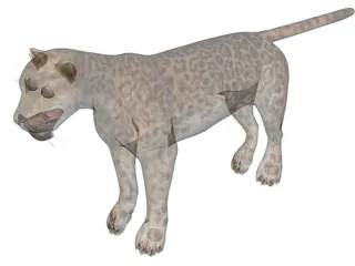 Jaguar 3D Model