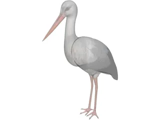 White Stork 3D Model