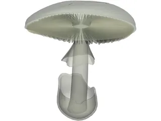 Amanita Phalloides: Death Cap Mushroom 3D Model