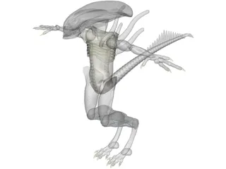 Alien 3D Model